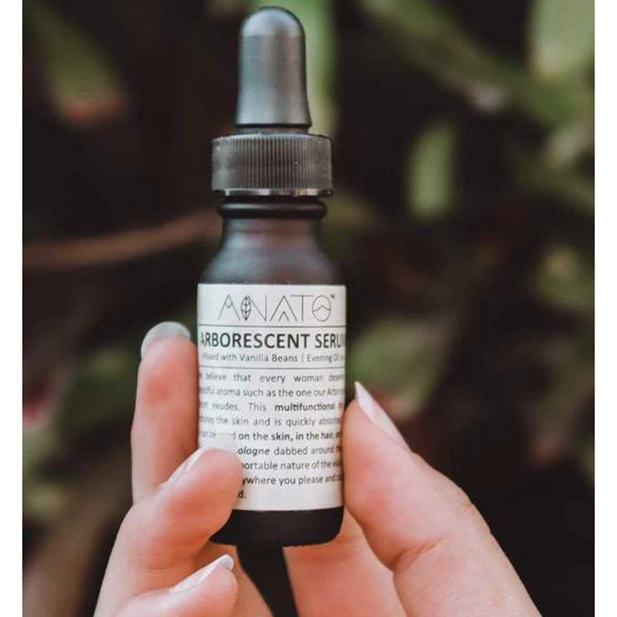 Anato Evening Oil - Arborescent Serum, 15 ml | AS15ML
