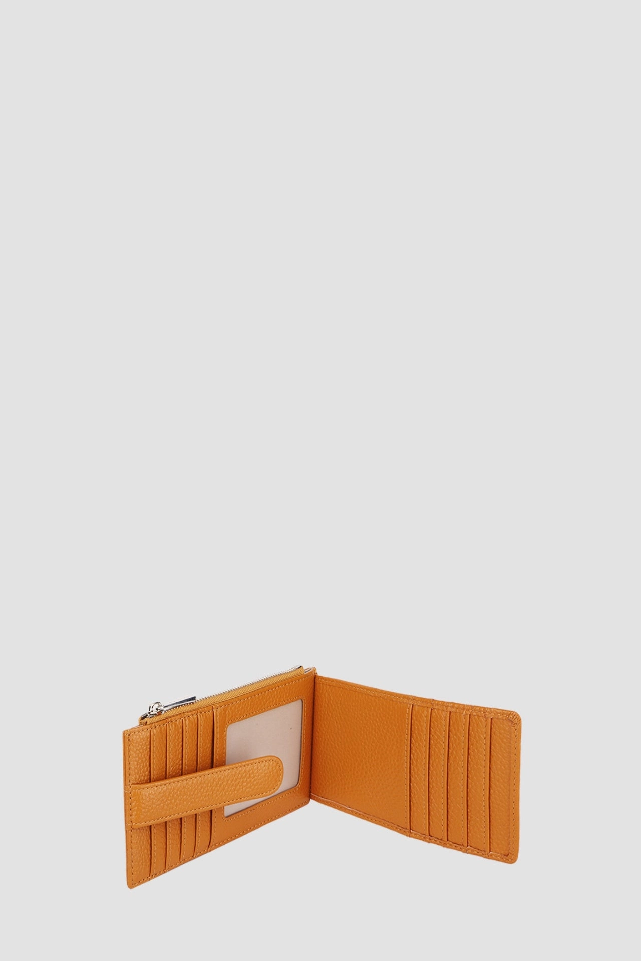 DAPHNE CARDHOLDER