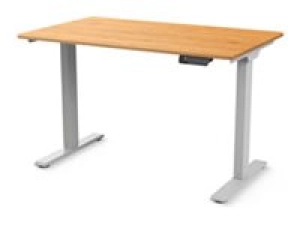 Humanscale eFloat Go 2.0 - Sit/standing desk - rectangular - electric height adjustment - bamboo - silver base FTG3060BM_FYH12TS