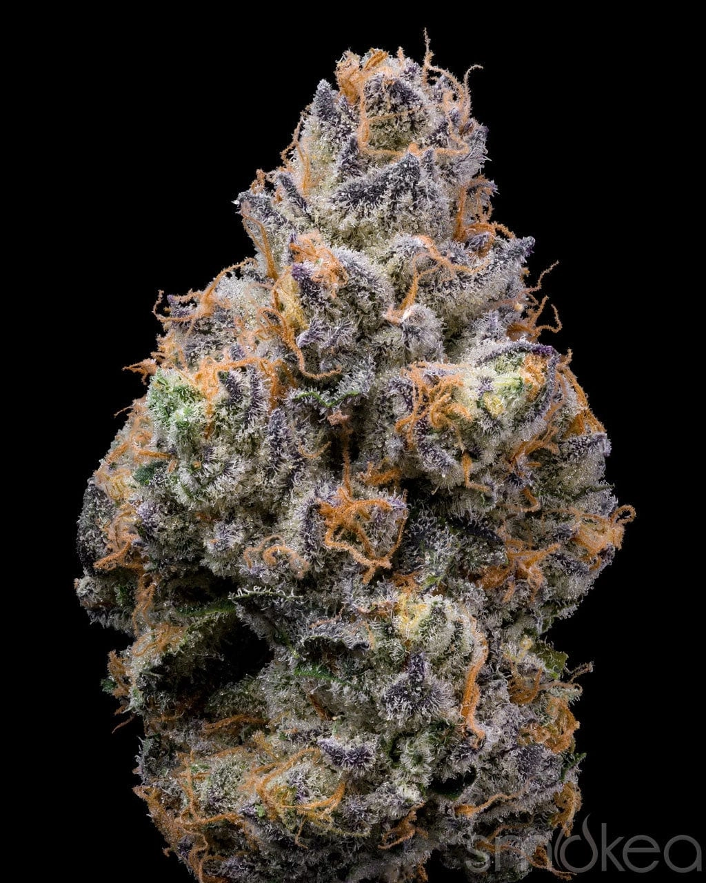 Lemonnade Cannabis Seeds - Tiger Paw