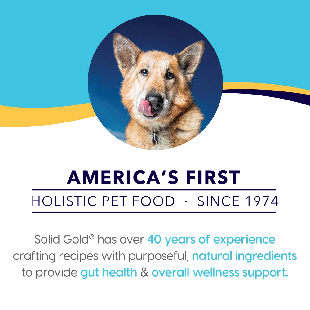 Solid Gold Hund-n-Flocken with Lamb Dry Dog Food