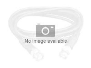 Strategic Sourcing - Patch cable - LC/UPC multi-mode to LC/UPC multi-mode - 2 m - fiber optic - OM4 NL4GGNP-LCLC-2M
