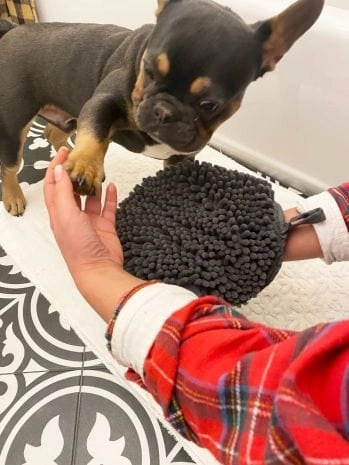 Tall Tails Wet Paws Drying Mitt for Dogs